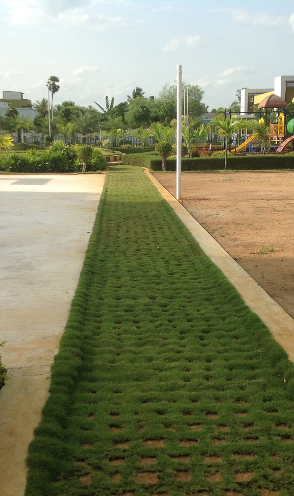 chennai swimming pool maintenance, chennai gardening, chennai landscape architects, landscape in chennai, landscaping in chennai, landscape designers in chennai,